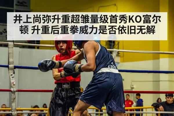 井上尚弥升重超雏量级首秀KO富尔顿 升重后重拳威力是否依旧无解