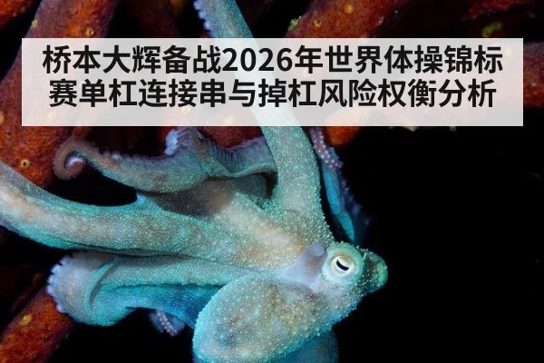 桥本大辉备战2026年世界体操锦标赛单杠连接串与掉杠风险权衡分析（jiuyou game）